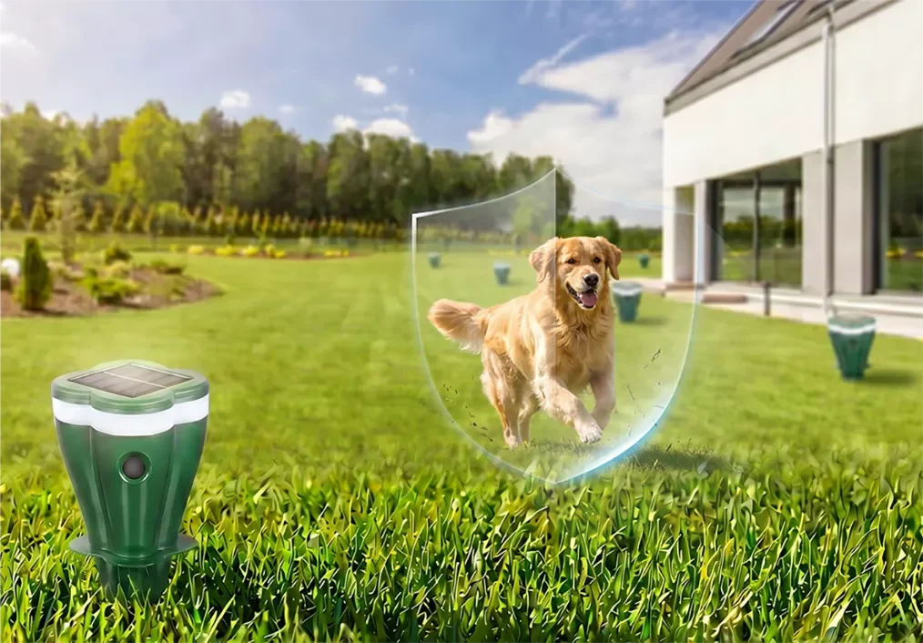 Perro corriendo por un césped con la estaca TopoSol instalada